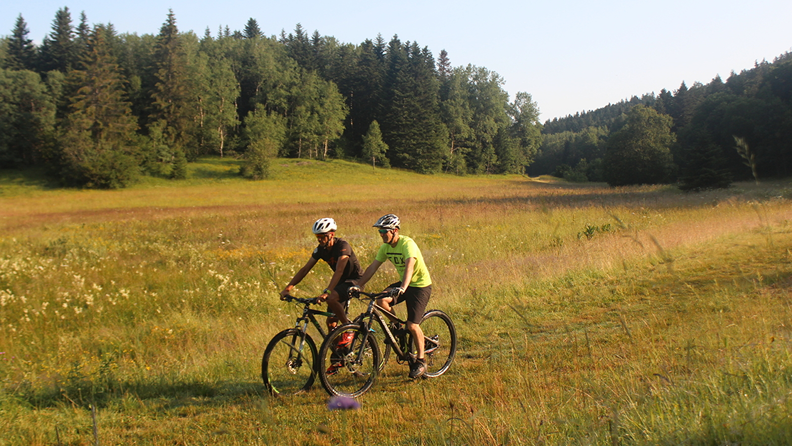 Parcours VTTAE 64 bleu - Montfalcon - Espace FFC Ain Forestière