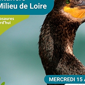 Les Aventuriers du Milieu de Loire - Journée nature pour les 6-12 ans spéciale 'Les dinosaures d'aujourd'hui' - POUILLY-SUR-LOIRE