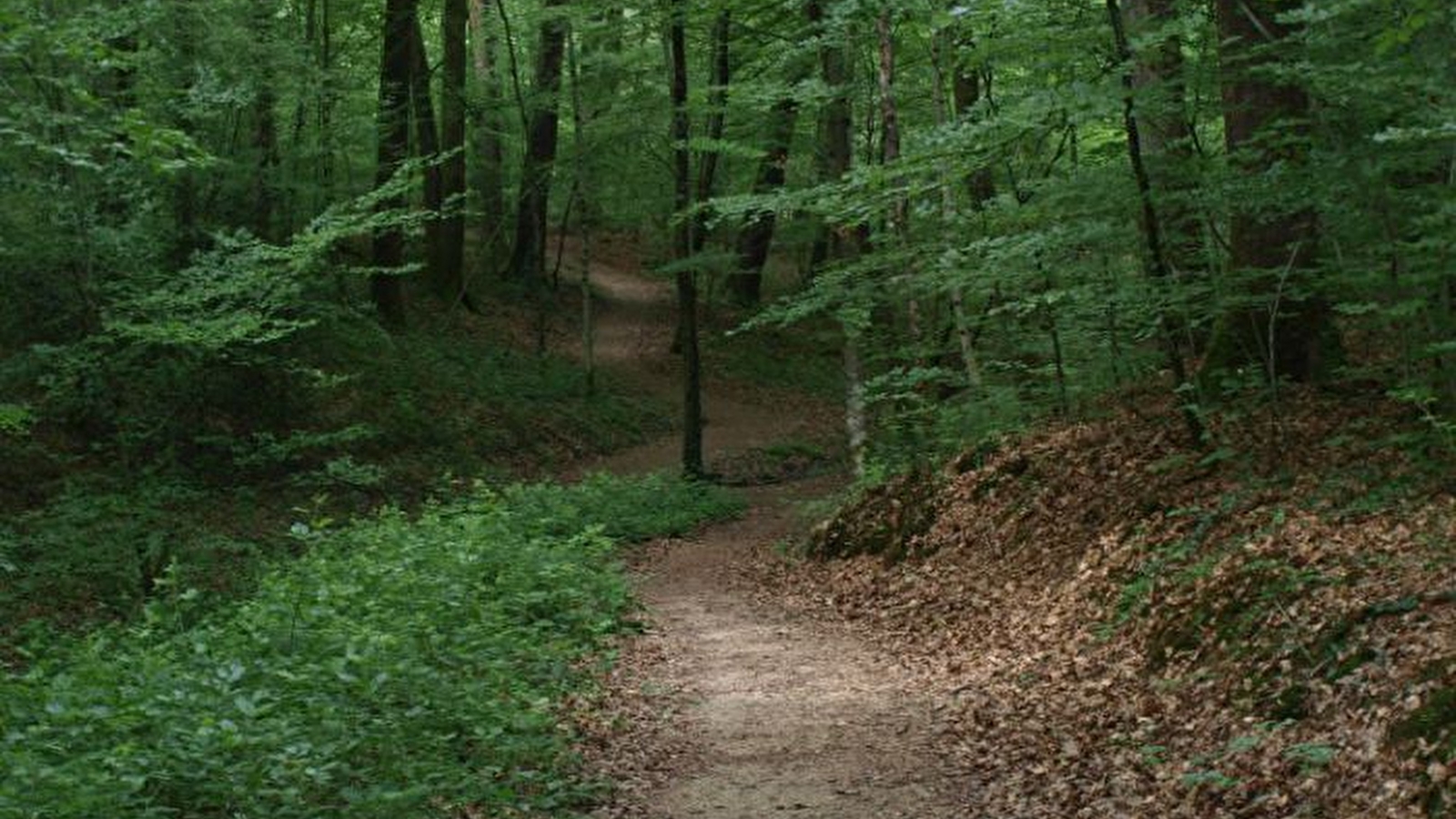 Parcours de santé à Châtenois