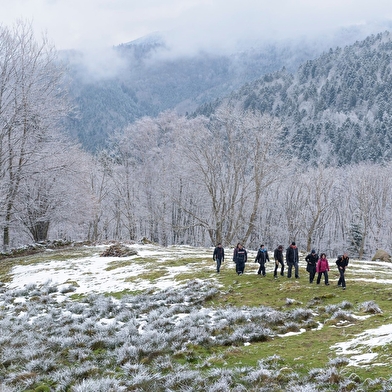 Le Parc naturel regional des Ballons des Vosges