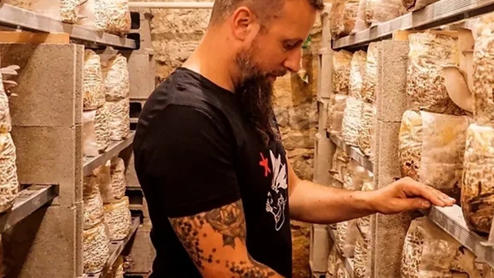 Plongez dans la culture des champignons avec Florian