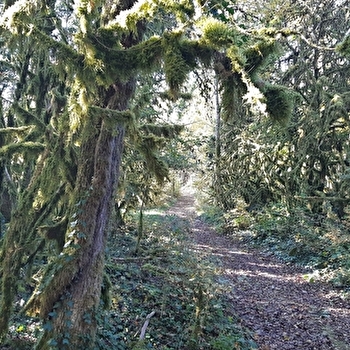 Circuit VTT n°8 (rouge) - Château de Rosy et le col des Justices - SIMANDRE-SUR-SURAN