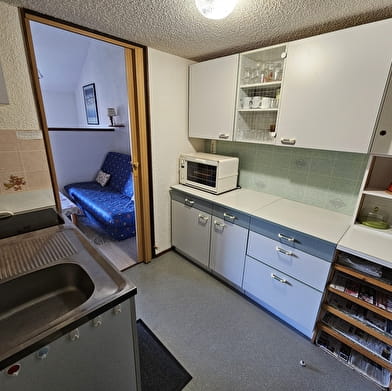 L'Orée des Pistes - Studio en résidence - R432SUR00