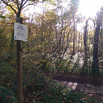 'Escape trail' au Coutelot - THISE