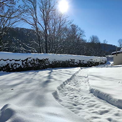 Appartement Souvet n°829