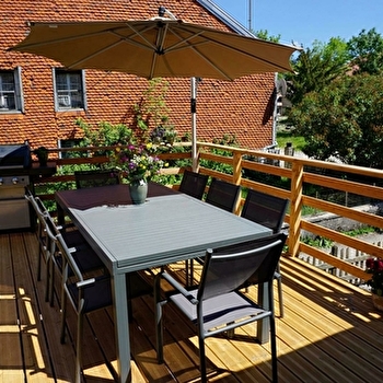 Les Morilles - LA LATETTE