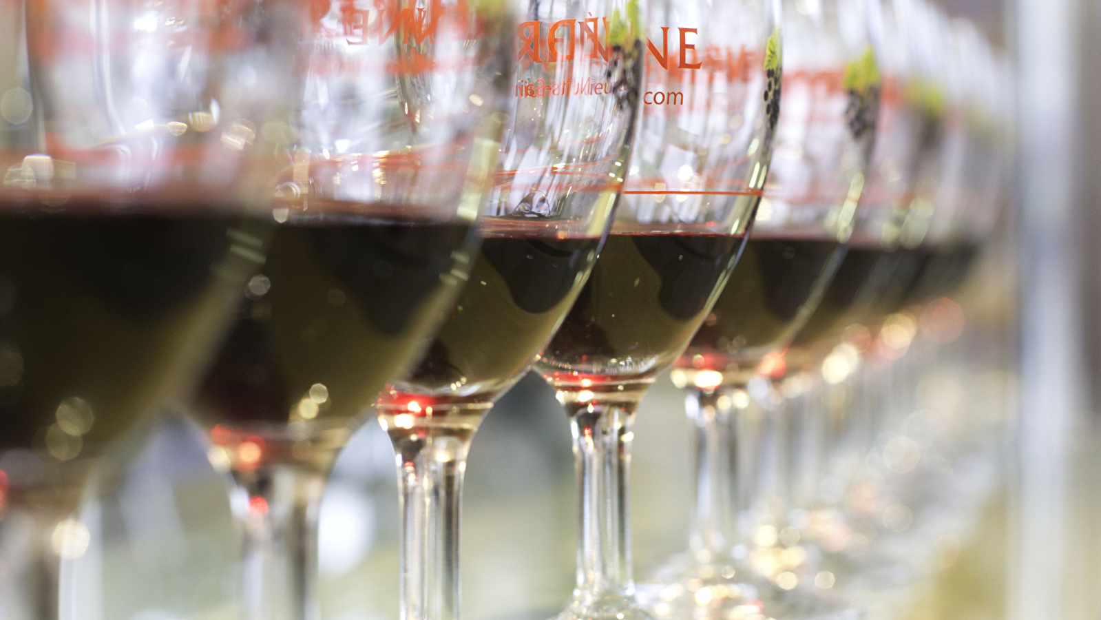 Séjour découverte de la Côte de Nuits - Groupe