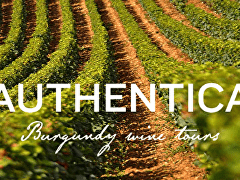 Authentica Tours - DIJON