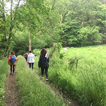 Isabelle Maney Sophrologue - CHISSEY-EN-MORVAN