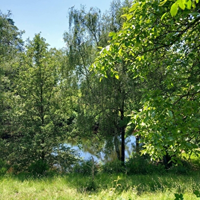 Gite de la Forêt des 3M