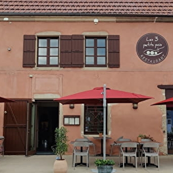 Les 3 Petits Pois - SAINT-SYMPHORIEN-DES-BOIS