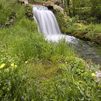 La source du suran - LOISIA