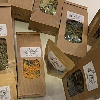 Véronique et François Léval - Epices, plantes médicinales et aromatiques - SAINT-AGNAN