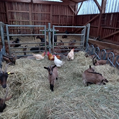 Les Coulisses du Terroir - Les Fermes des Bajais