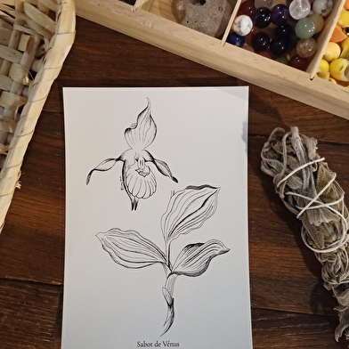 Atelier La Mallette - Lucie Deck