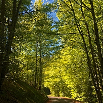 Circuit vélo : Du col du Ballon à la Combe de Léchaud - CHAMPAGNE-EN-VALROMEY