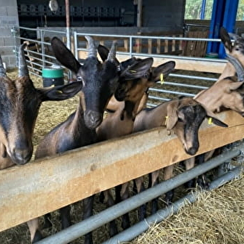 Gaec des trois communes - LA CHAPELLE-THECLE