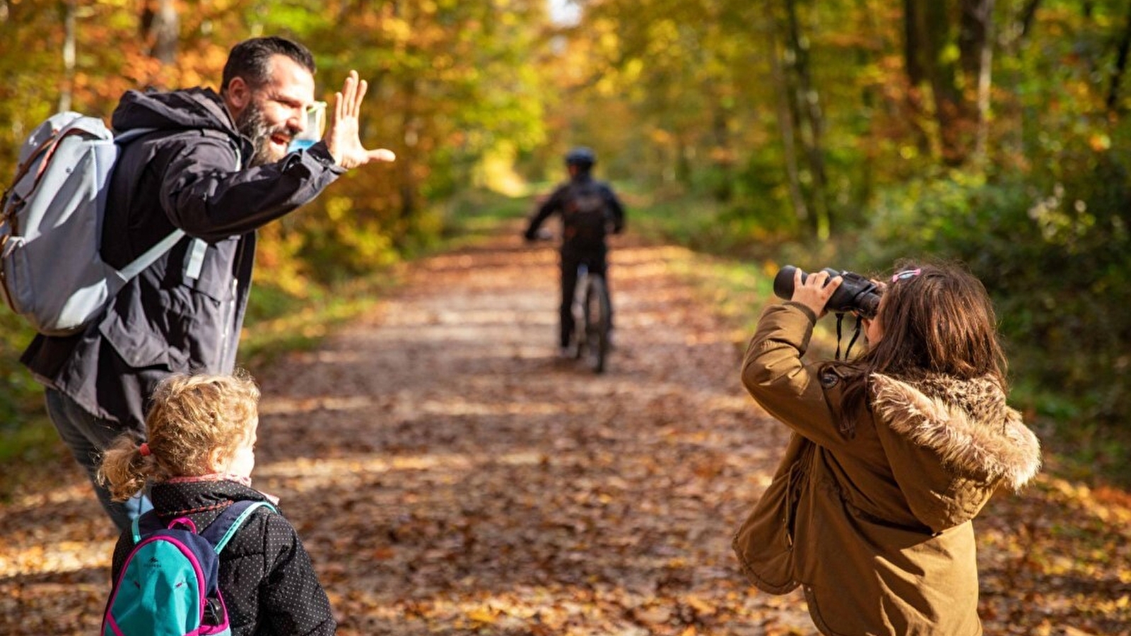 Balade en forêt domaniale de la Rena