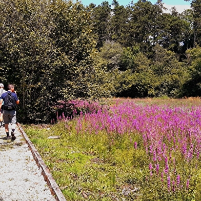 Circuit Jurassic Vélo Tours n° 38 - Les Gorges de l'Ain et ses méandres par la chapelle de St Maurice d'Echazeaux