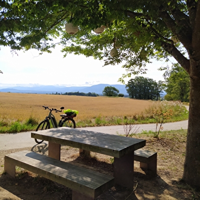 Voie Verte - La Ferney-Gex jusqu'à Ornex