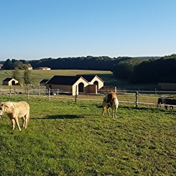 Ferme équestre de Poifond - VARZY