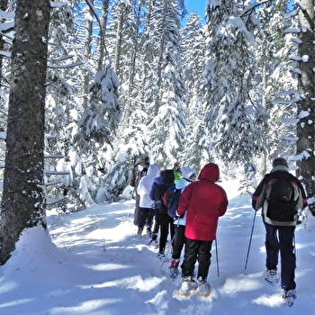Natur'Odyssée Jura - METABIEF