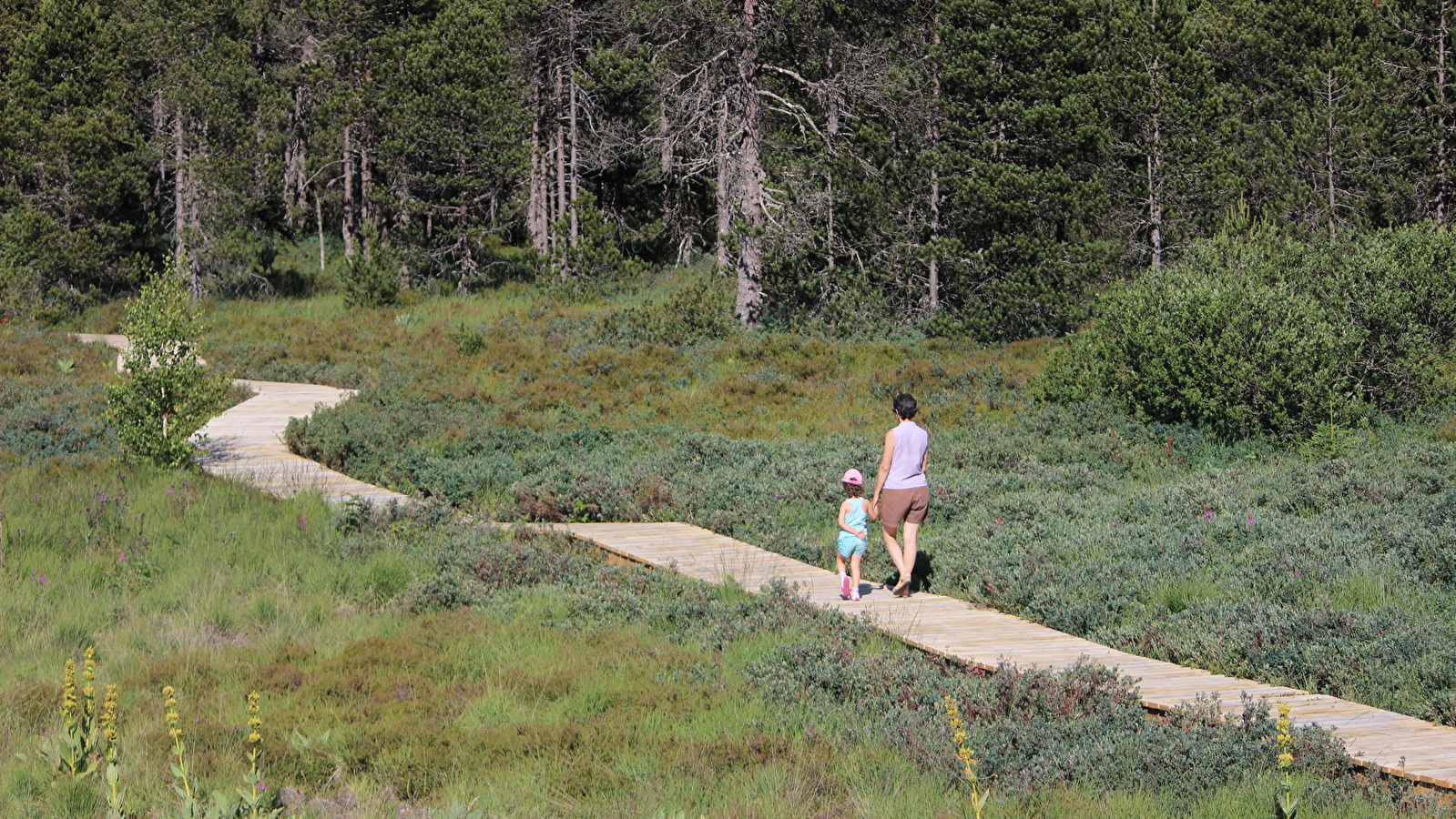 Sentier des Tourbières du Bief du Nanchez