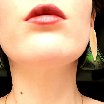 Charlie O Plumes - DRUYES-LES-BELLES-FONTAINES