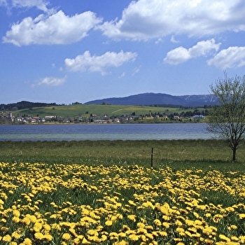 Tour du Lac de Saint-Point - OYE-ET-PALLET