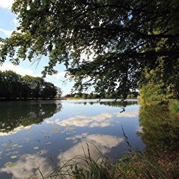Aire de pique-nique des 7 chevaux - LUXEUIL-LES-BAINS