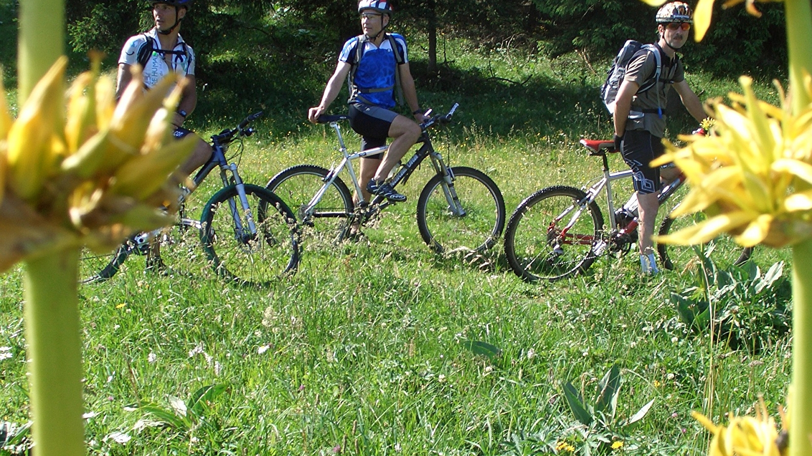 Les Seignots - n° 4