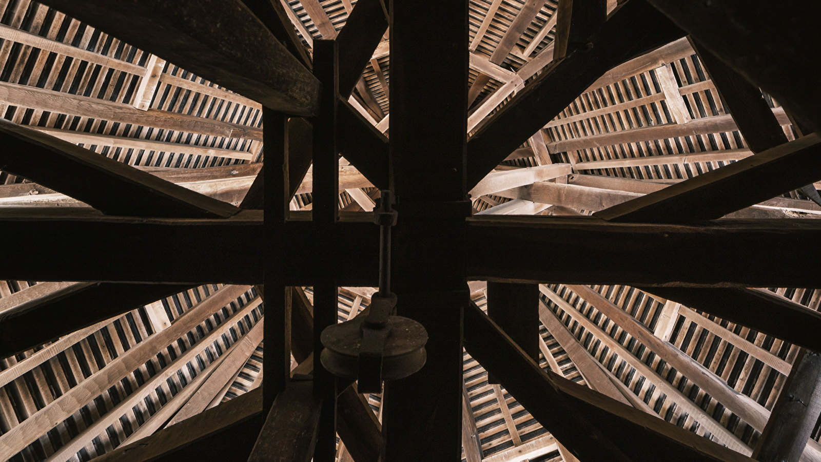 Exposition : Sous les toits des cathédrales