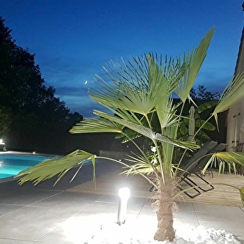 Le cocon de Silèze - SAINT-LOTHAIN