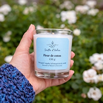 Souffle d'Antan - NEVERS