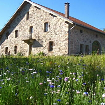 Gîte de la Marcelle - MELISEY