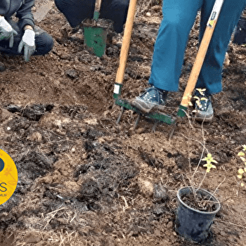 Les mains dans le jardin - JOIGNY