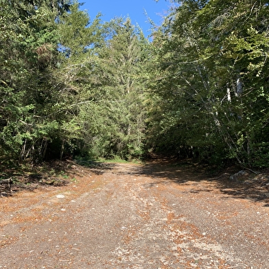 Randonnée - Sur Echallon par le monument du Maquis