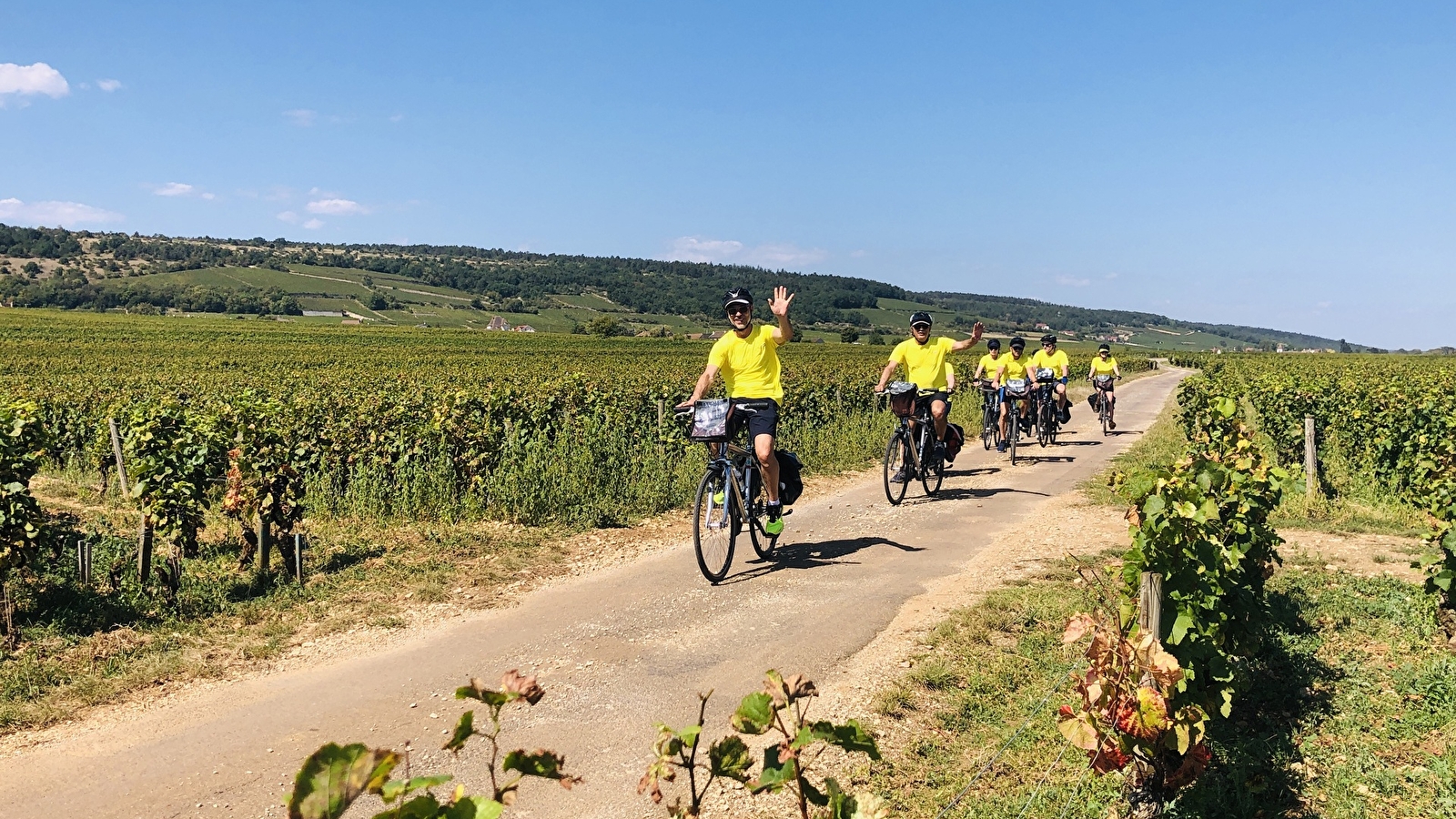 Bourgogne Sud et Nord | 10 jours