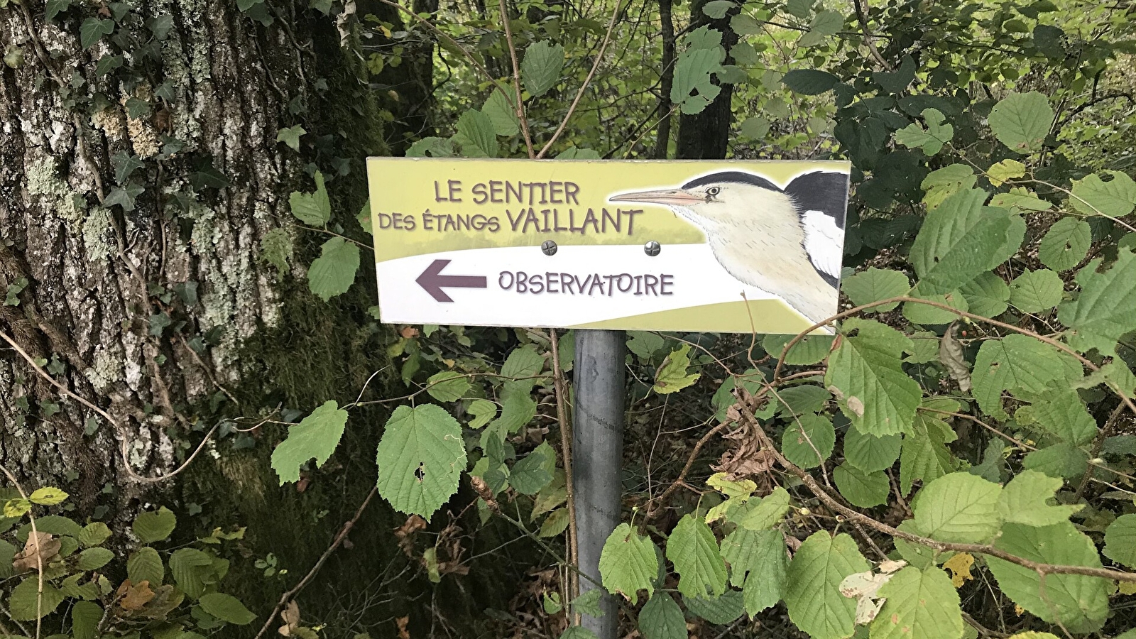 Le Sentier des étangs Vaillant, du Crêt et du Fort