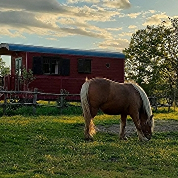 La roulotte de Louise - SAINT-FARGEAU