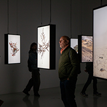 Visite : Traversée des expositions - BESANCON