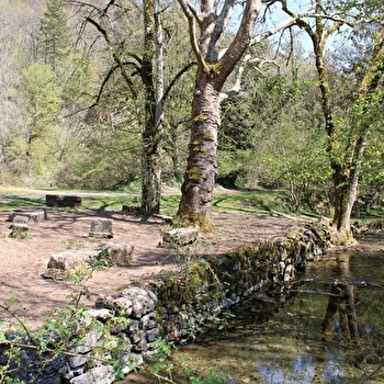 Aire de pique-nique d'Arcenant  - ARCENANT