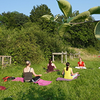 Yoga, ressourcement et découverte de l'univers des abeilles - BUSSEAUT