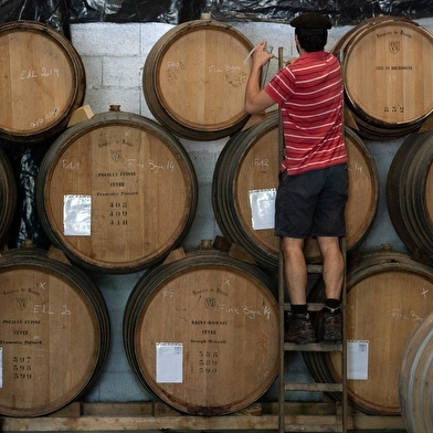 Dégustation & Visite de la distillerie Sab's