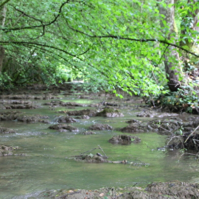 La Tuilerie du cinéaste