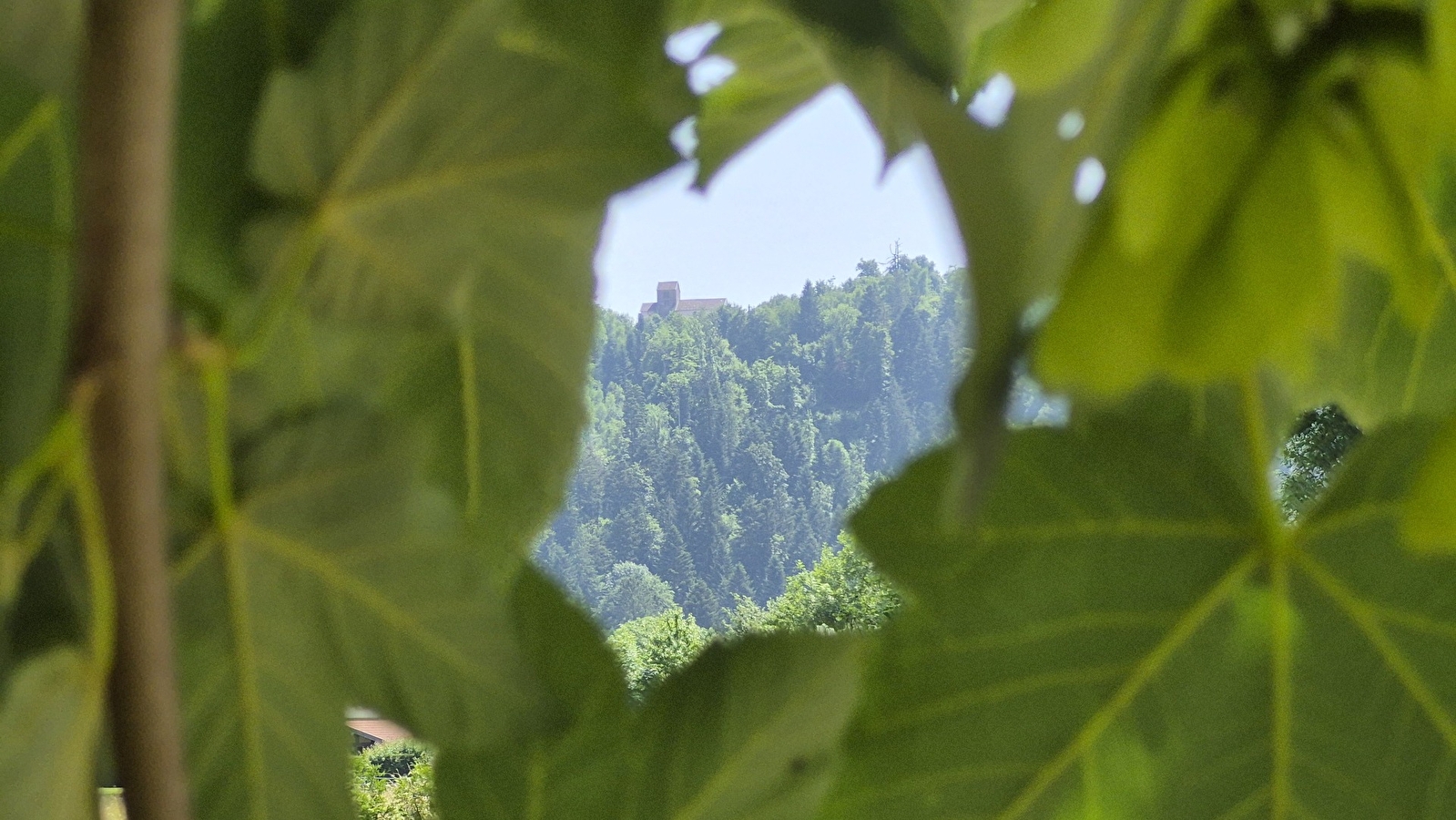 Aire de services pour camping-cars