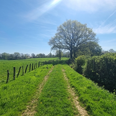 Liaison VTT-VTC (L4) St Trivier de Courtes - Ferme de la Forêt