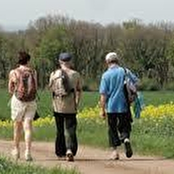 Circuit pédestre La Baume Noire  - FRETIGNEY-ET-VELLOREILLE