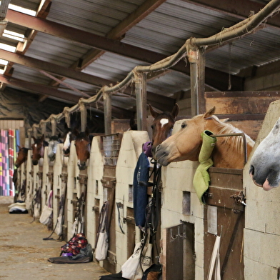 Équitation Passion