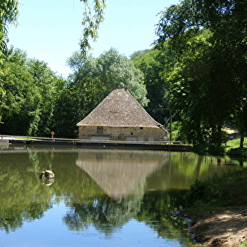 Circuit Feuille de Houx - JULLIE